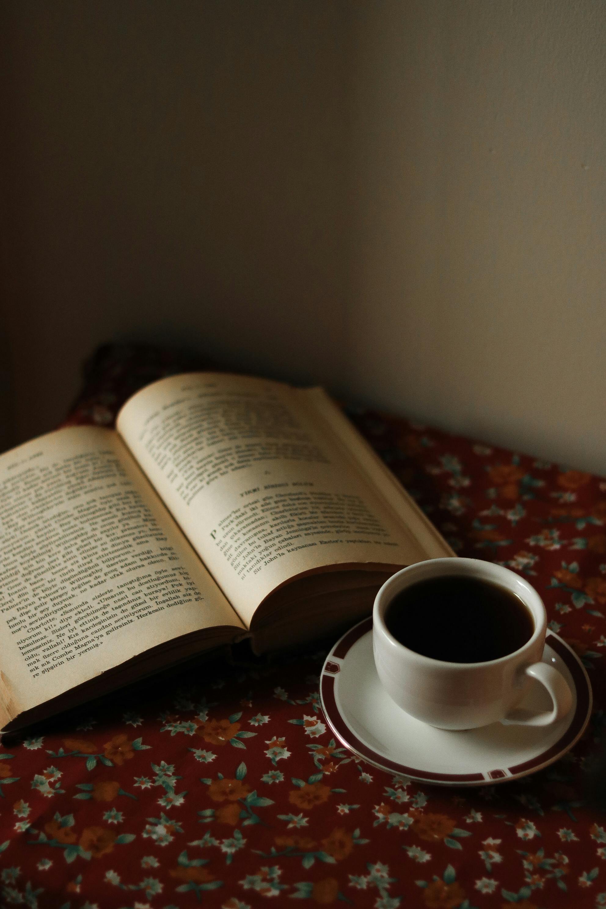 
          Bem-vindos à Livraria Hyunam-Dong: O Freio - Featured image
        